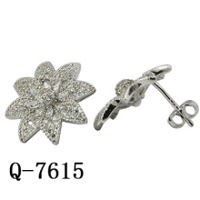 Neue Design Fashion Ohrringe Silber Schmuck (Q-7615 JPG)